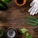 Essential Gardening Tools for Beginners