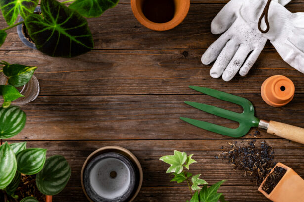 Essential Gardening Tools for Beginners