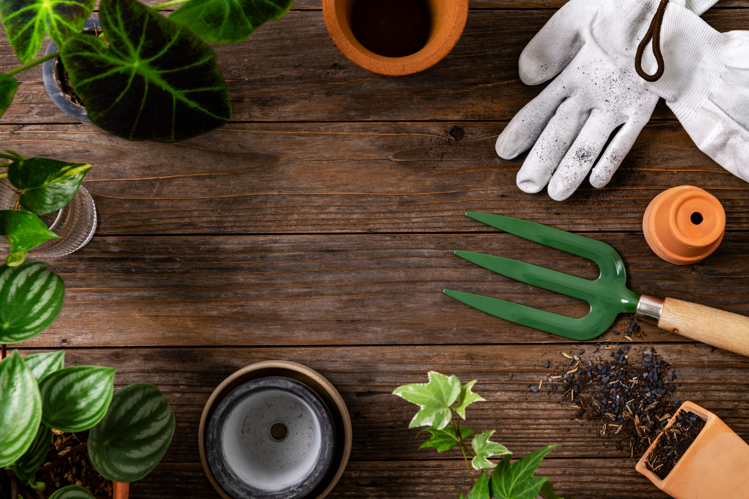 Essential Gardening Tools for Beginners