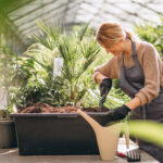 Common Gardening Mistakes and How to Avoid Them