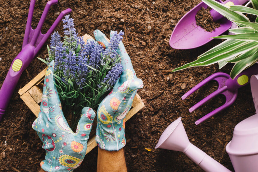 Gardening for Beginners: Everything You Need to Know
