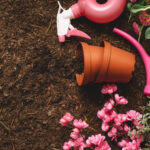 Gardening Terms Explained: The Ultimate Beginner's Glossary (A–M)