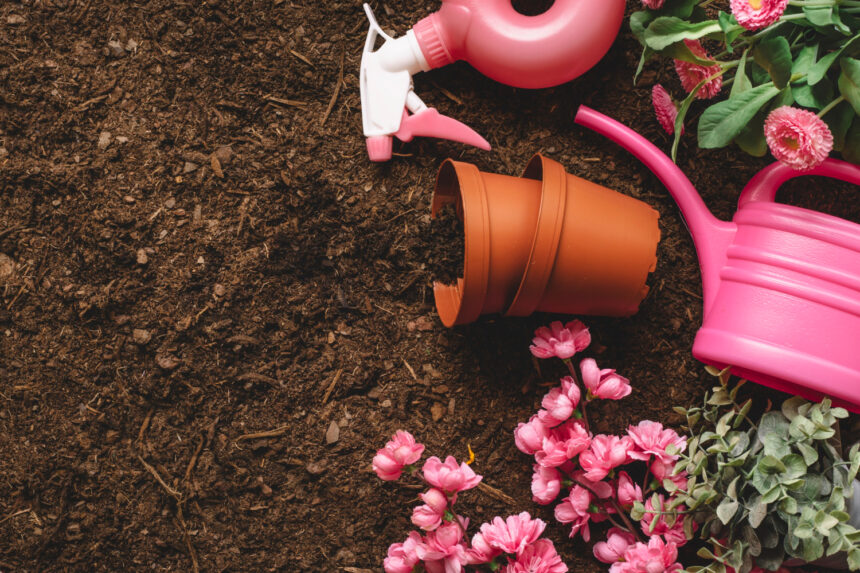 Gardening Terms Explained: The Ultimate Beginner's Glossary (A–M)