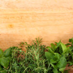 12 Beginner-friendly herbs you can grow without the stress