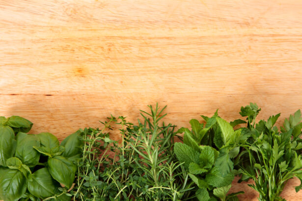 12 Beginner-friendly herbs you can grow without the stress
