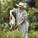 How Often Should You Water Plants?
