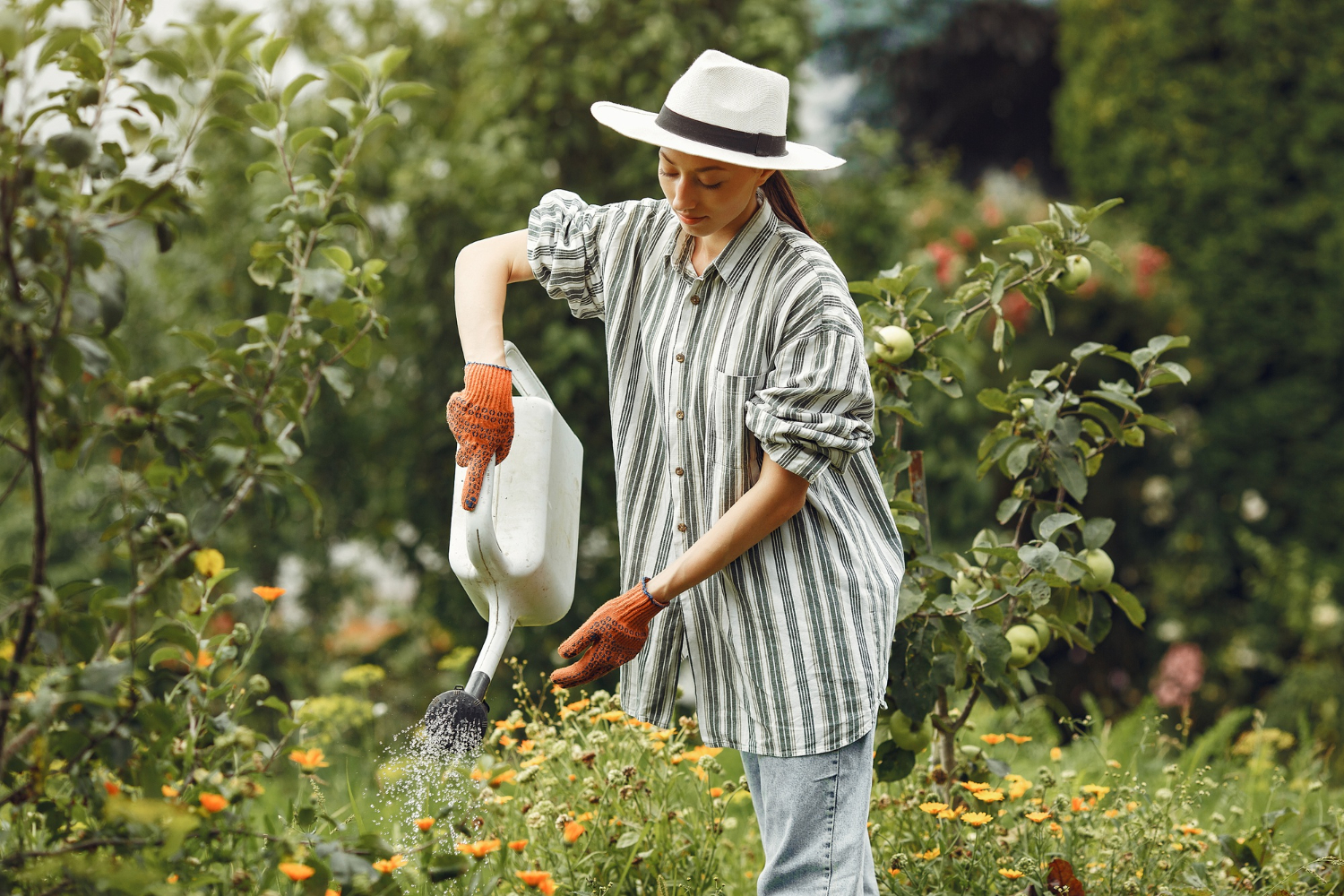 How Often Should You Water Plants?