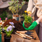 How to Prepare Soil for Planting