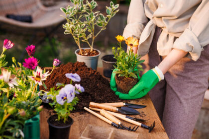 How to Prepare Soil for Planting