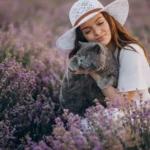 Is Lavender Safe for Cats
