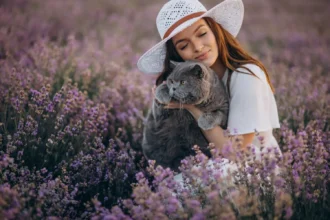 Is Lavender Safe for Cats