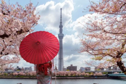 Where to Stay in Tokyo