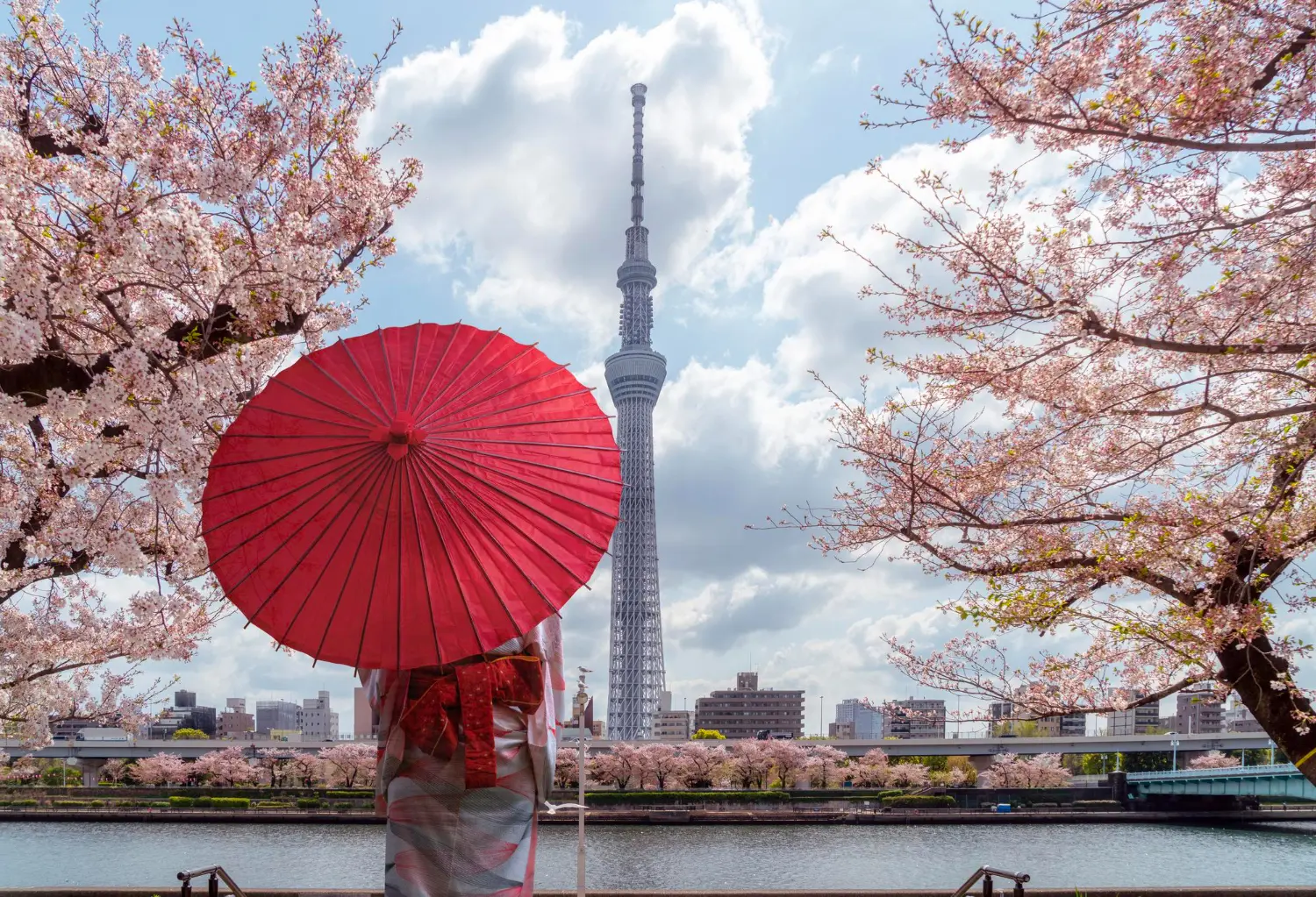Where to Stay in Tokyo